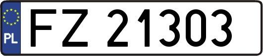FZ21303