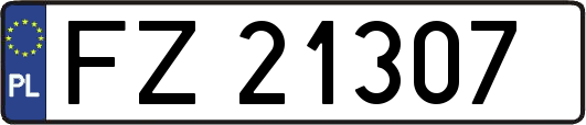 FZ21307