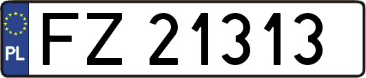 FZ21313