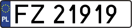 FZ21919