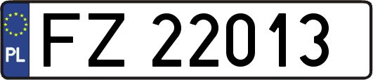 FZ22013