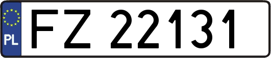 FZ22131