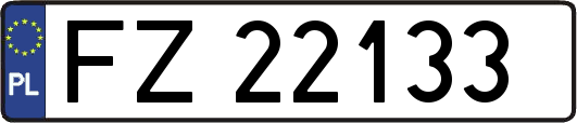 FZ22133