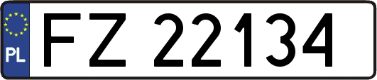 FZ22134