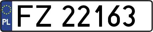 FZ22163