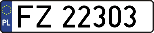 FZ22303
