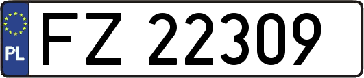 FZ22309