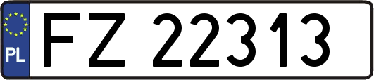 FZ22313