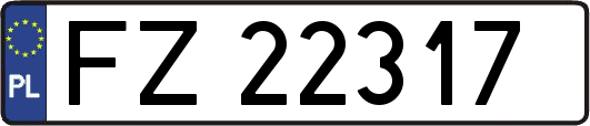 FZ22317