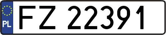FZ22391