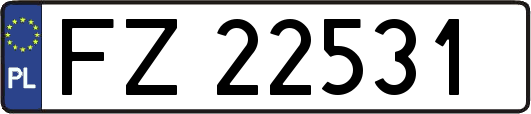 FZ22531