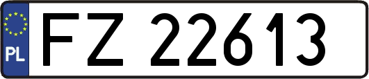 FZ22613
