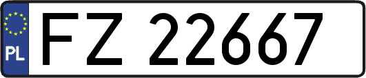 FZ22667