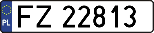 FZ22813