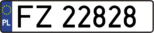 FZ22828