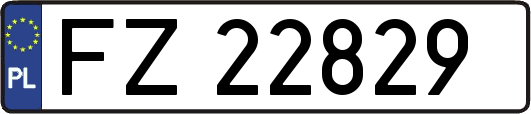 FZ22829