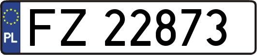 FZ22873