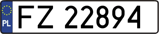 FZ22894