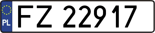 FZ22917