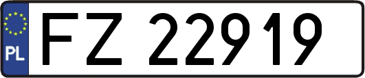 FZ22919