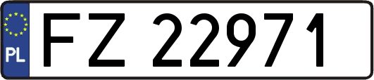 FZ22971