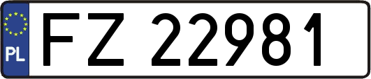 FZ22981