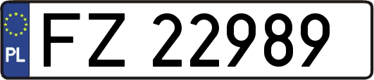 FZ22989