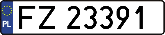 FZ23391