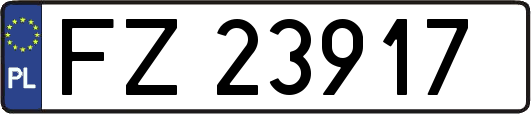 FZ23917