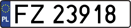 FZ23918