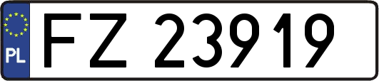 FZ23919