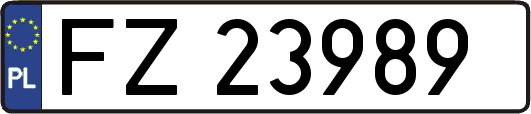 FZ23989