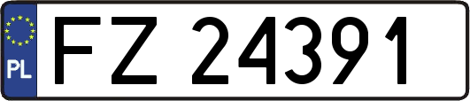 FZ24391
