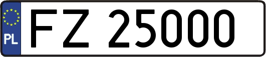 FZ25000