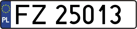 FZ25013