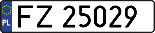 FZ25029