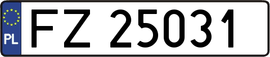 FZ25031