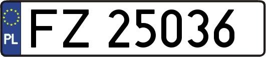 FZ25036