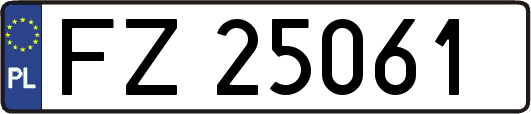 FZ25061