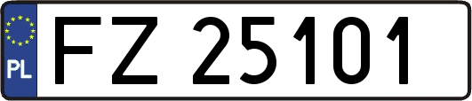 FZ25101