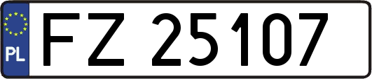 FZ25107