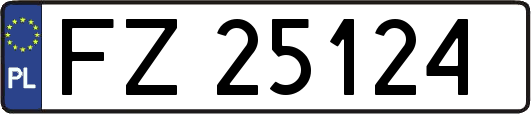 FZ25124