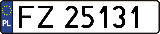 FZ25131
