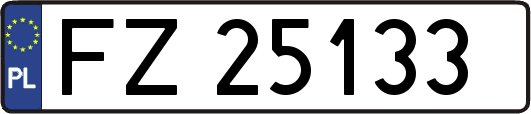 FZ25133