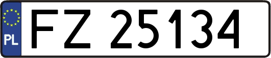 FZ25134