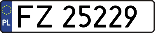 FZ25229