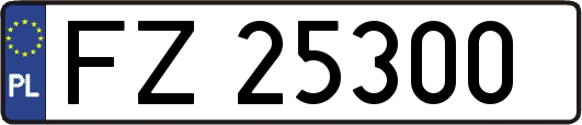 FZ25300