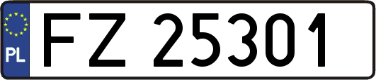 FZ25301