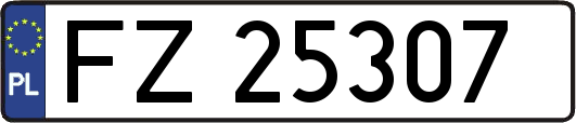 FZ25307