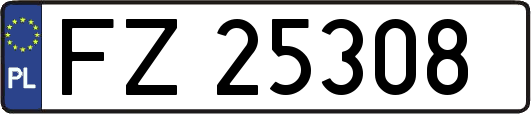 FZ25308